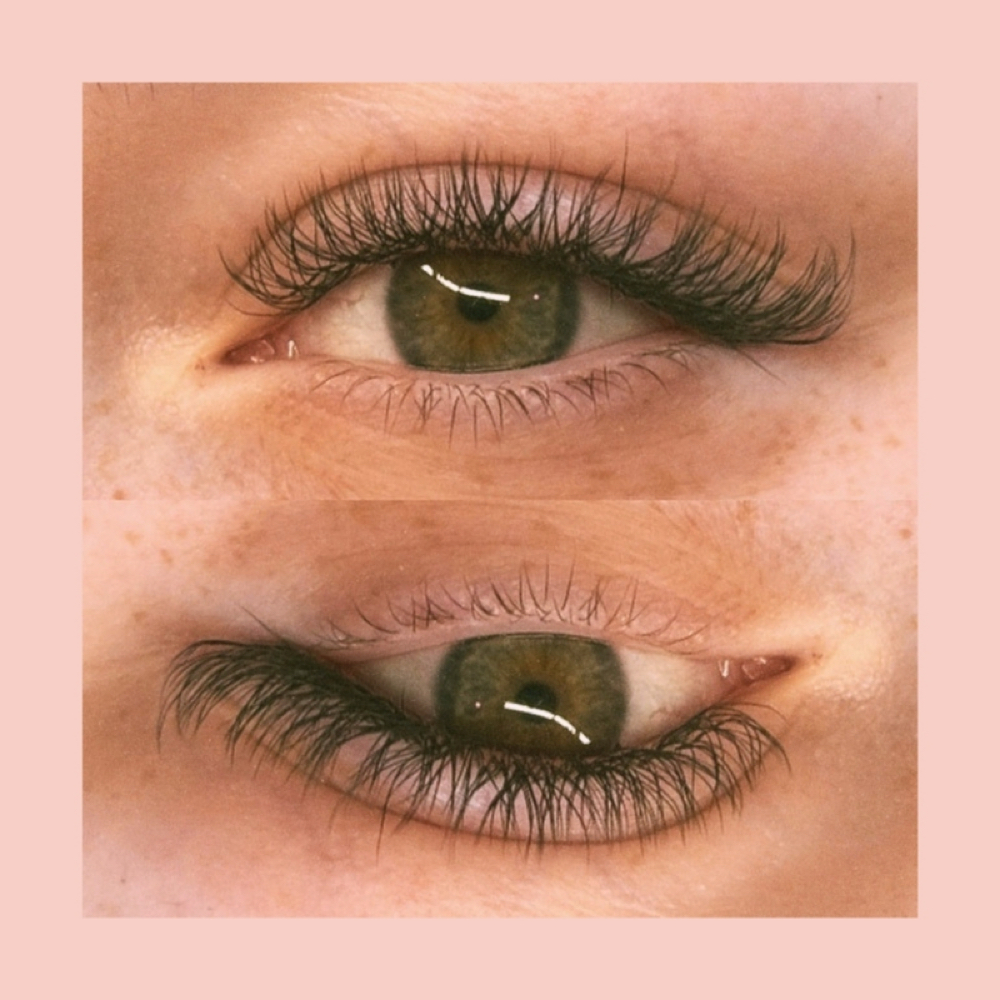 Lash Extensions - Hybrid at Ox & Moon Studio - Marshfield in Marshfield, MO