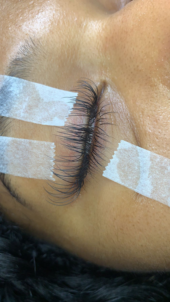 Bottom Lashes