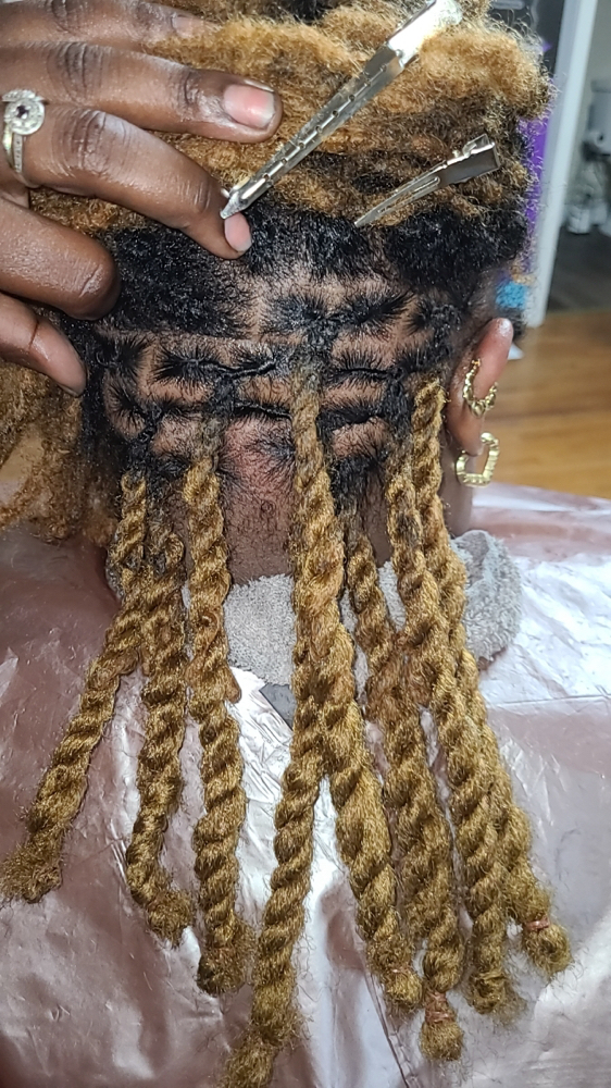 Twostrand Twist With Extentions