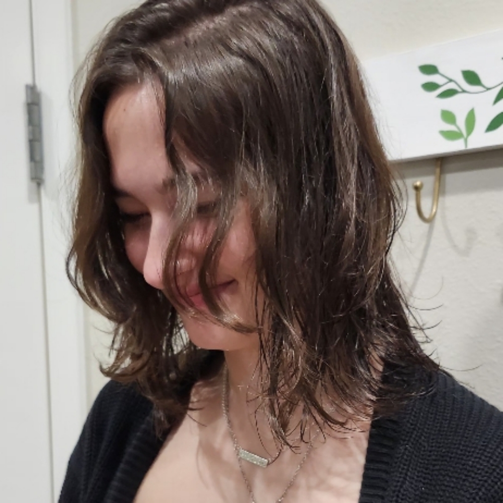 The Express Cut at The Little Shop of Hair in Colorado Springs, CO