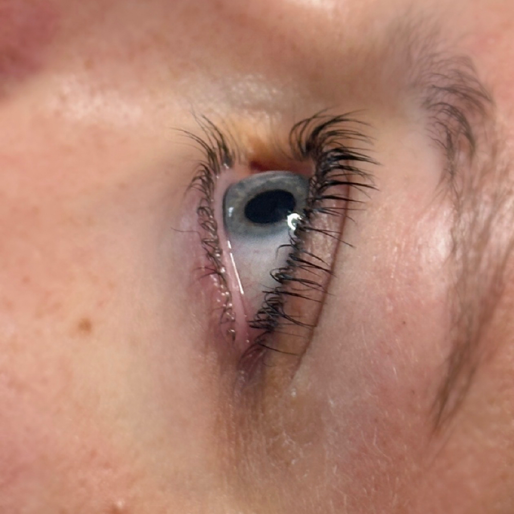 Korean lash lift at Bunny Beauty in Tampa, FL