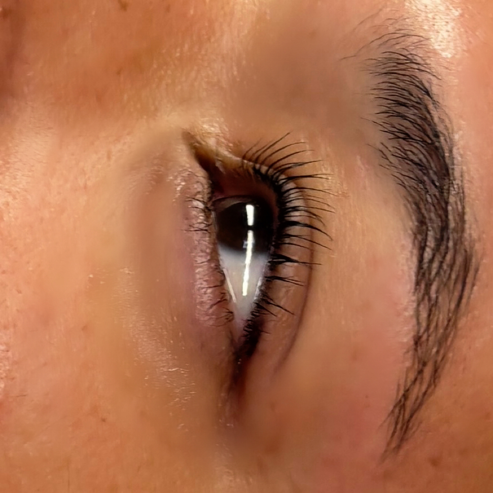 Korean lash lift at Bunny Beauty in Tampa, FL