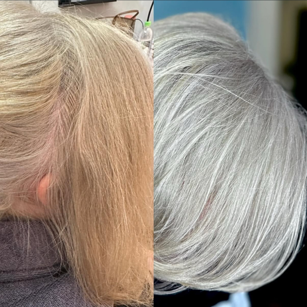 Full Gray Transformation at Sher Segal Hair in Apex, NC