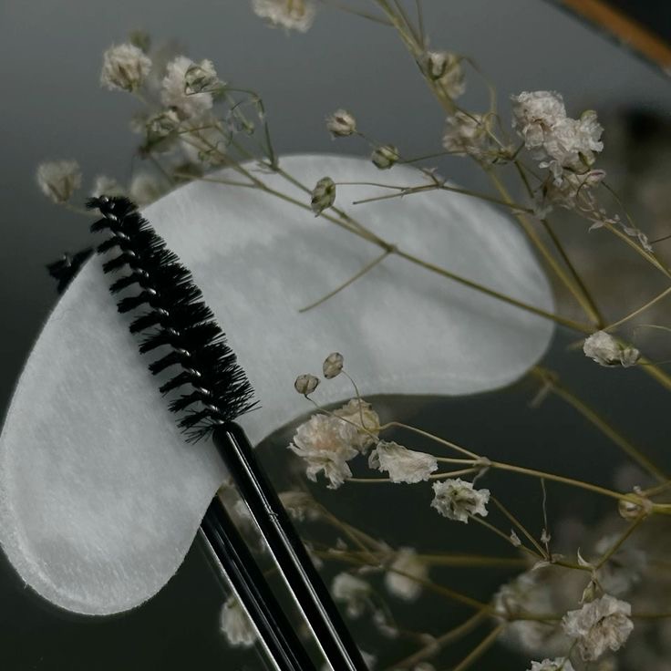 Classic Eyelash Extensions
