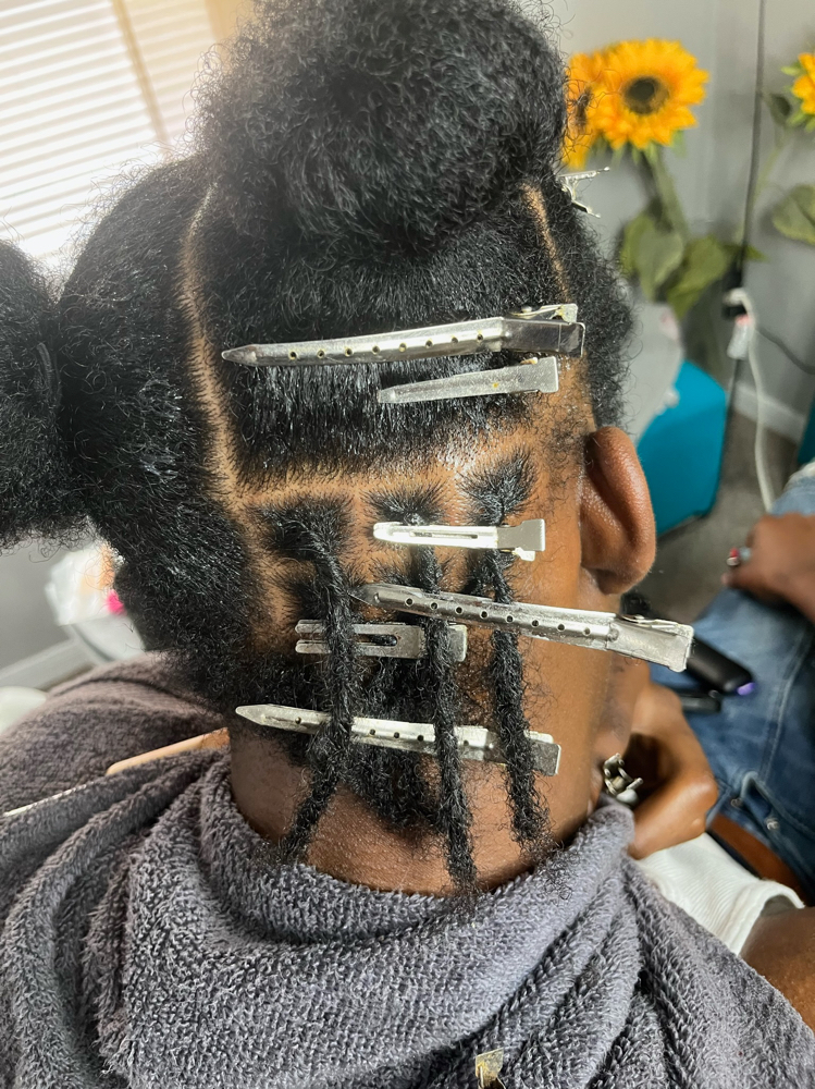 Starter Locs