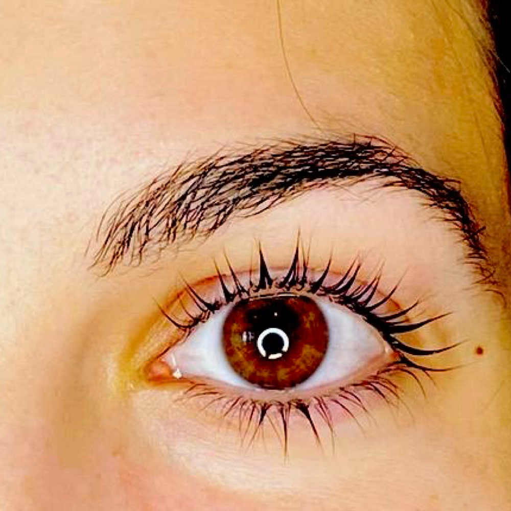 Lash Lift Bottom at Natural Lash and Brow Studio in New York, NY