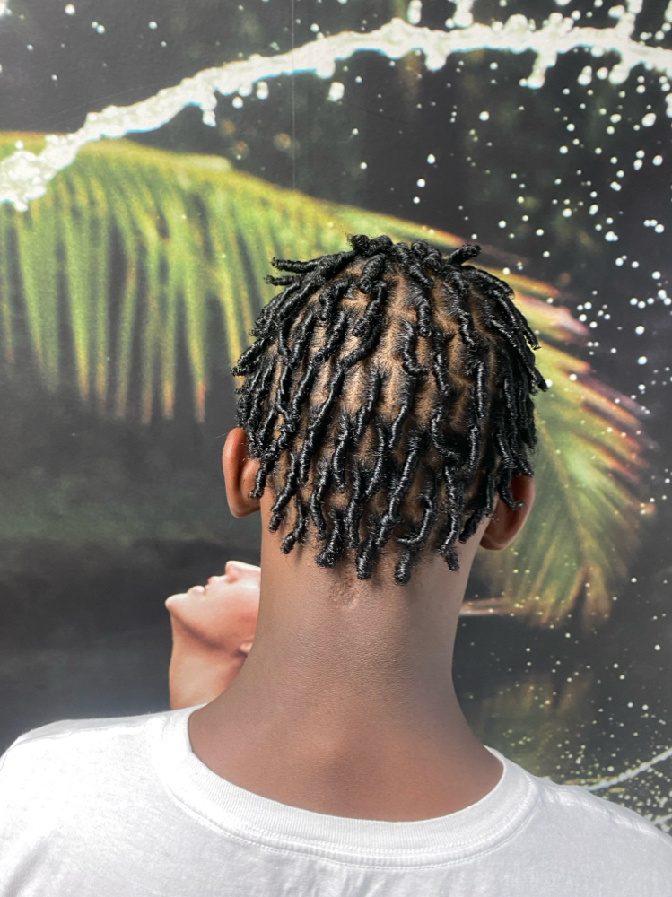 Starter Locs (99 Or Less)