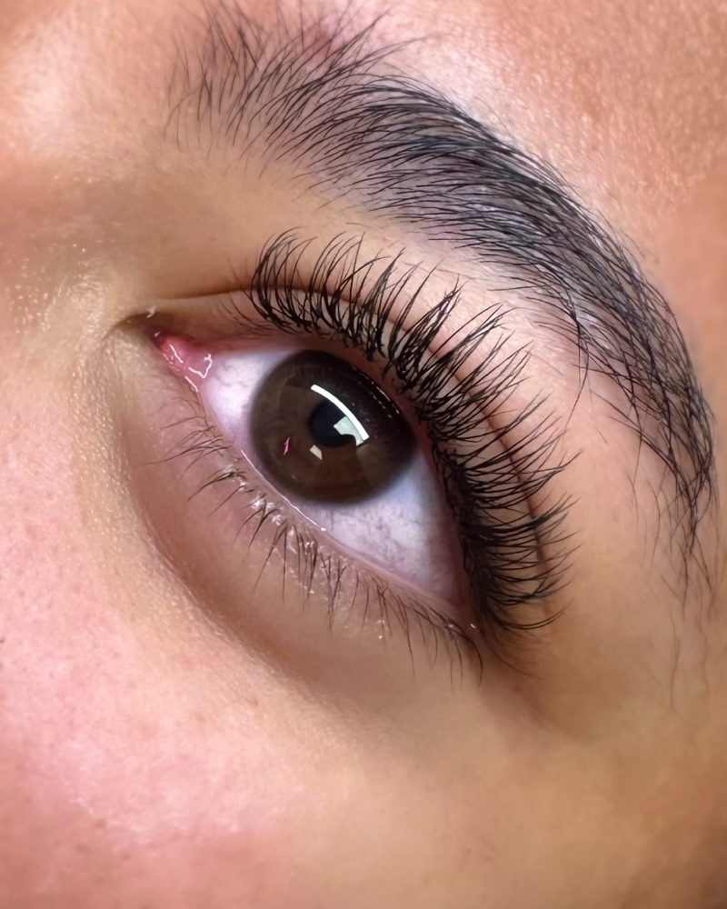 Classic Set Fill