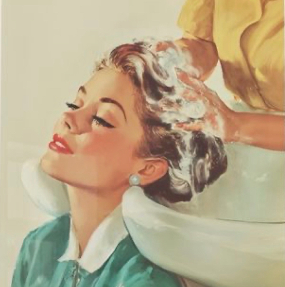 Shampoo & Blowdry at Shady Dale Studio in Cloverdale, IN