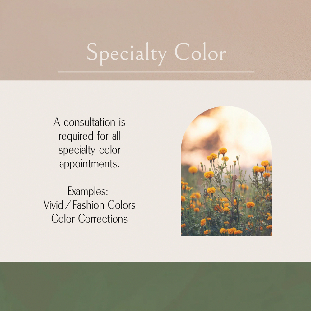 Specialty Color at Northern Roots Hair in Concord, NH