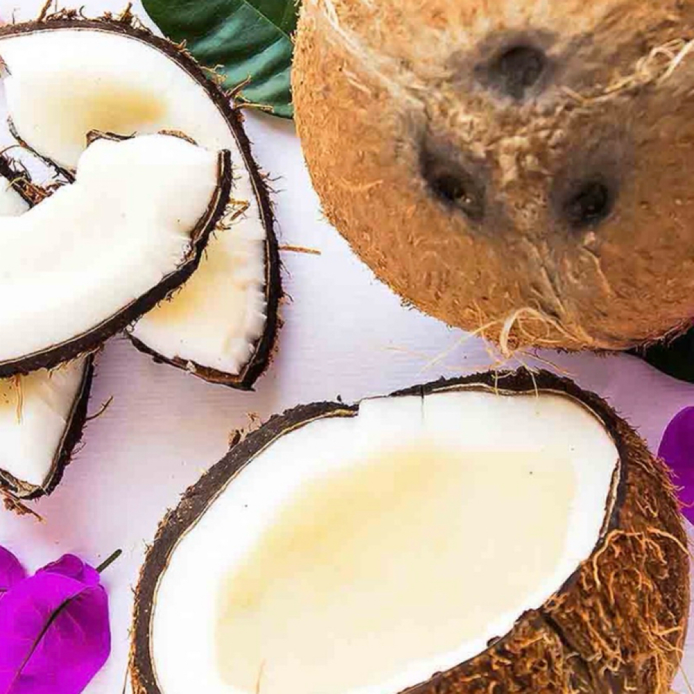 🥥 Coconut Scent Drops at Baked And Bare Co. in Nevada, NV
