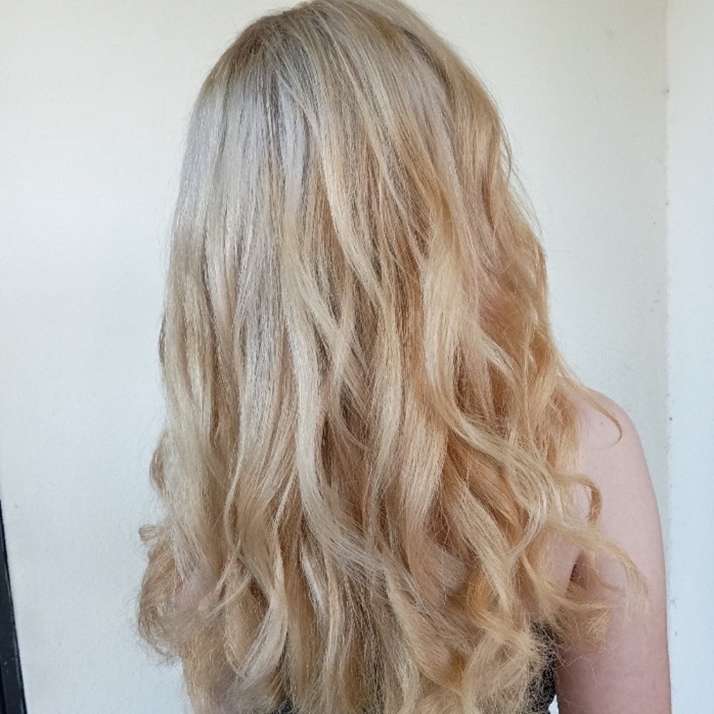 Total Blonde (Root Touchup) at Salon Obscura in Lakewood, CA
