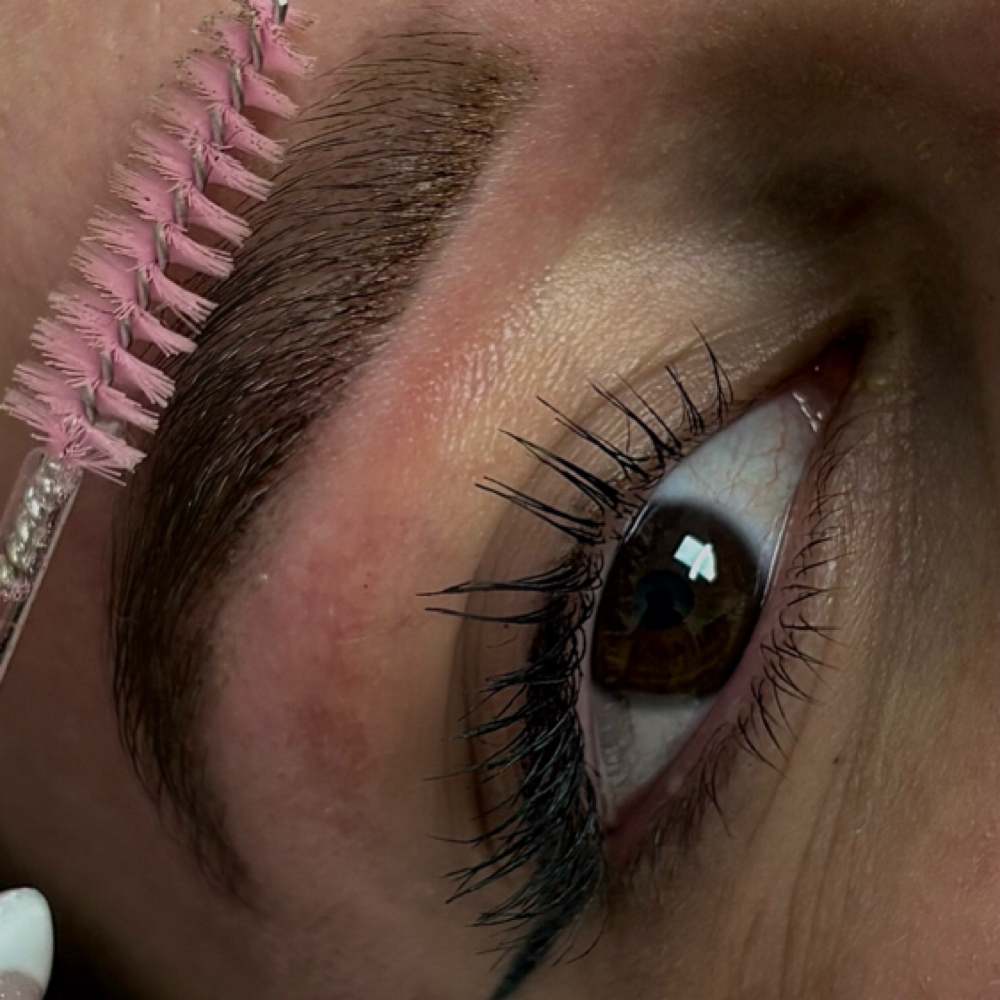 Signature Brows at Skin by Claudia in Billings, MT