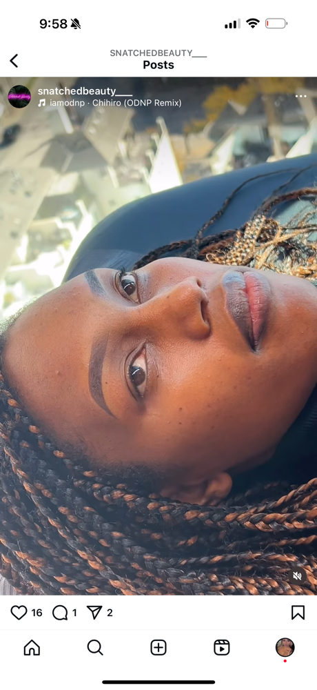 Ombre Brows (One Session)