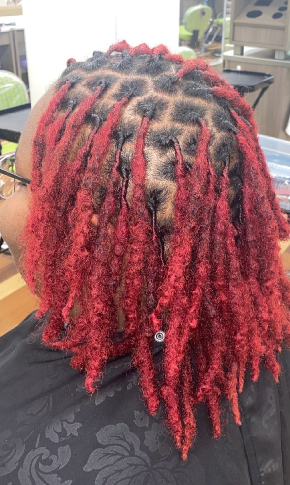 Loc Retwist + Style