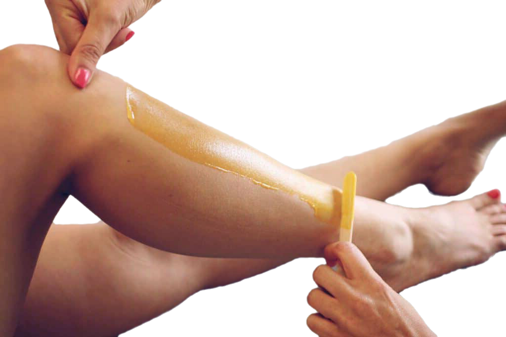 Half Leg (Lower Leg)