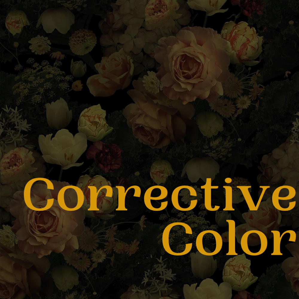 Corrective Color at Trashy Roots Studio in Holly Springs, NC