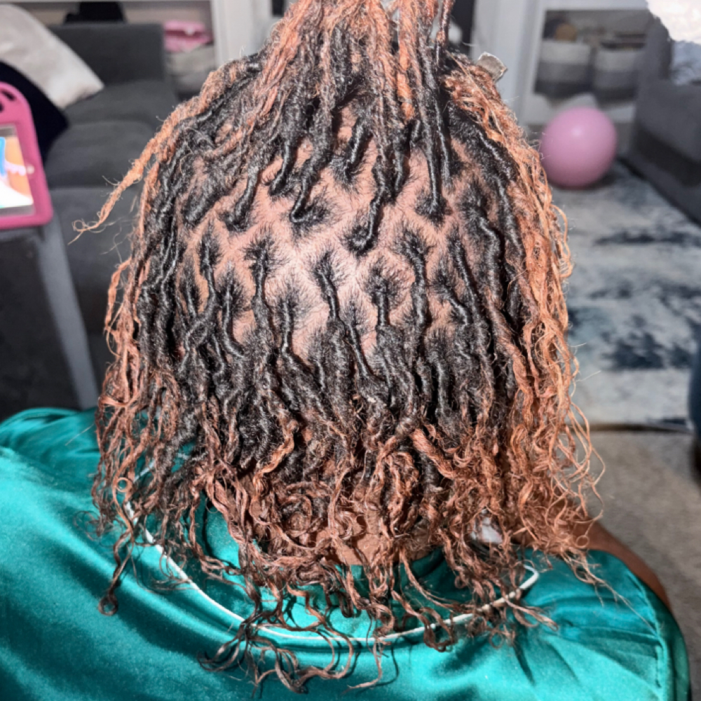 Starter Locs (SMedium To Small)