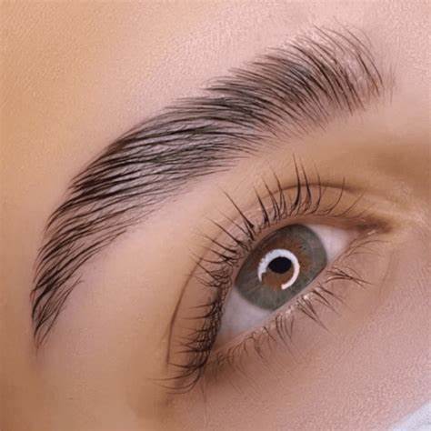 Brow Lamination