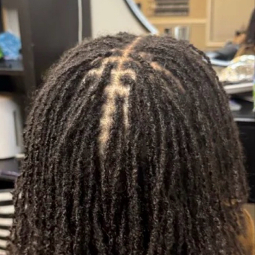 Adult Microloc/ Sisterloc Retie at 1143 Designs Network LLC in Chesapeake, VA