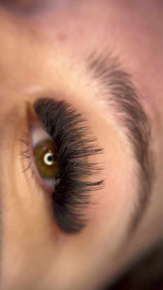 Volume Lash Full Set