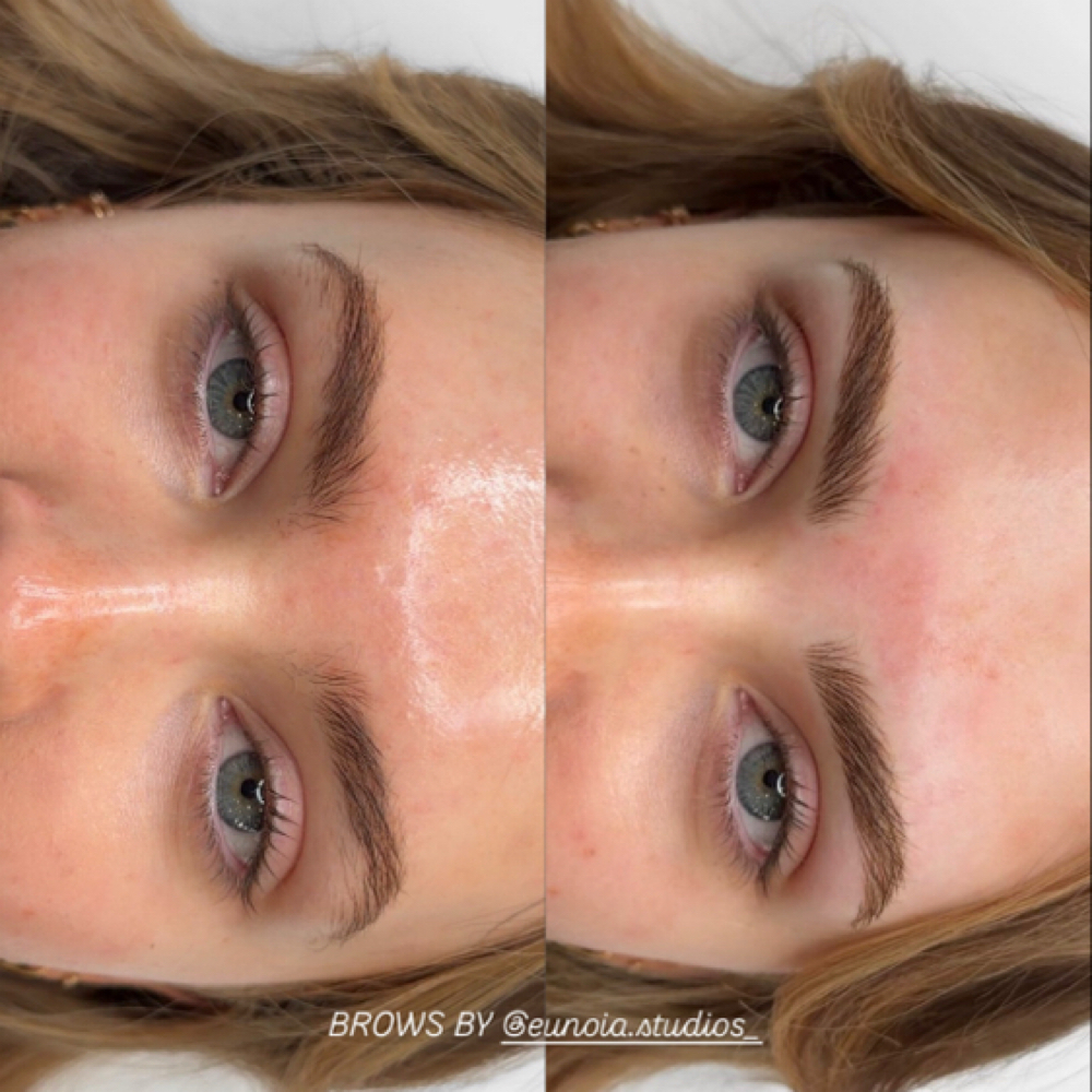 NANO BROWS at Eunoia Studios LLC in West Jordan, UT