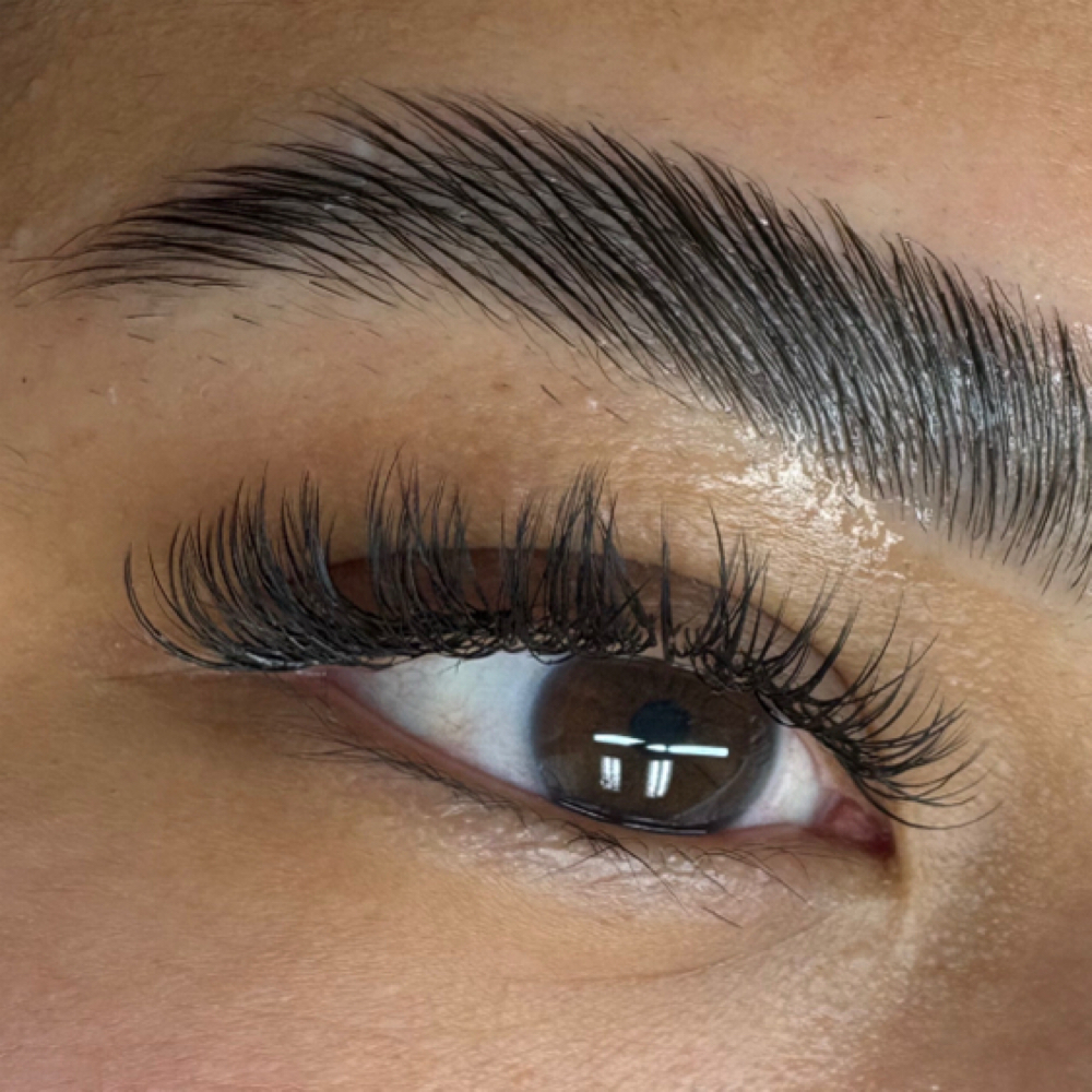 UV New Lash Set