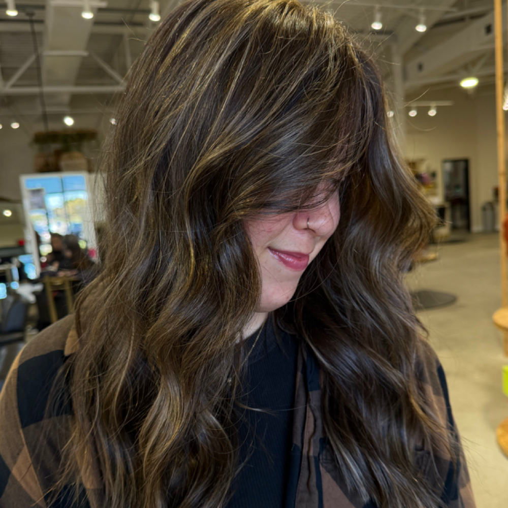 Gray Coverage & Highlight at Eryn  Thomas in fairborn, OH