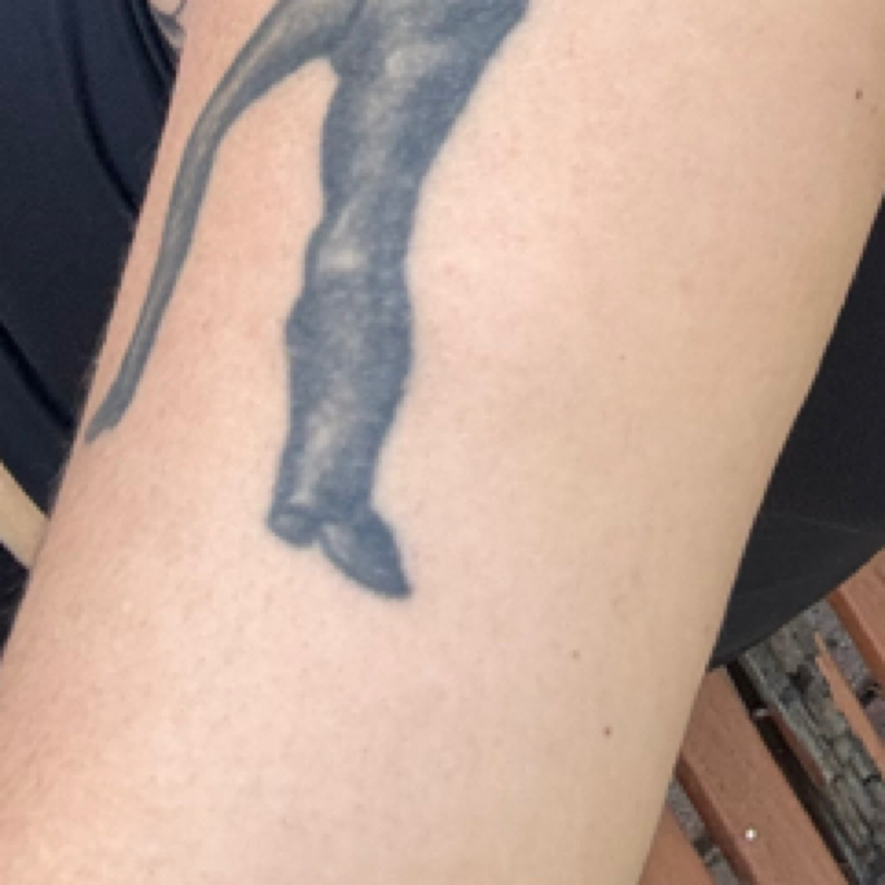 Full Arm at Ninas house of wax in Ca, CA