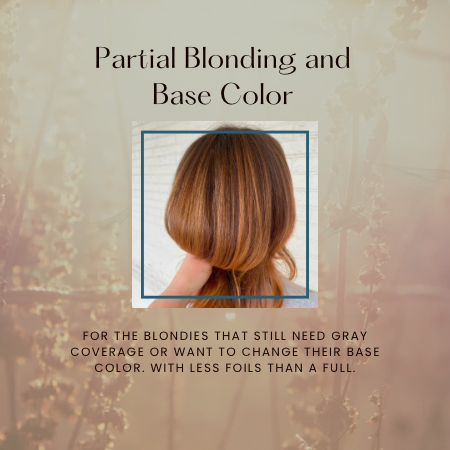 Partial Blonding and Base Color