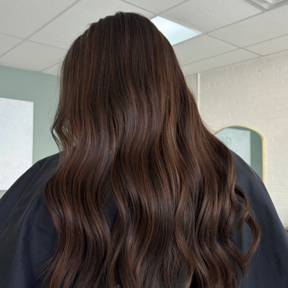 Dimensional Brunette at Soph Saves Hair in Kingsport, TN