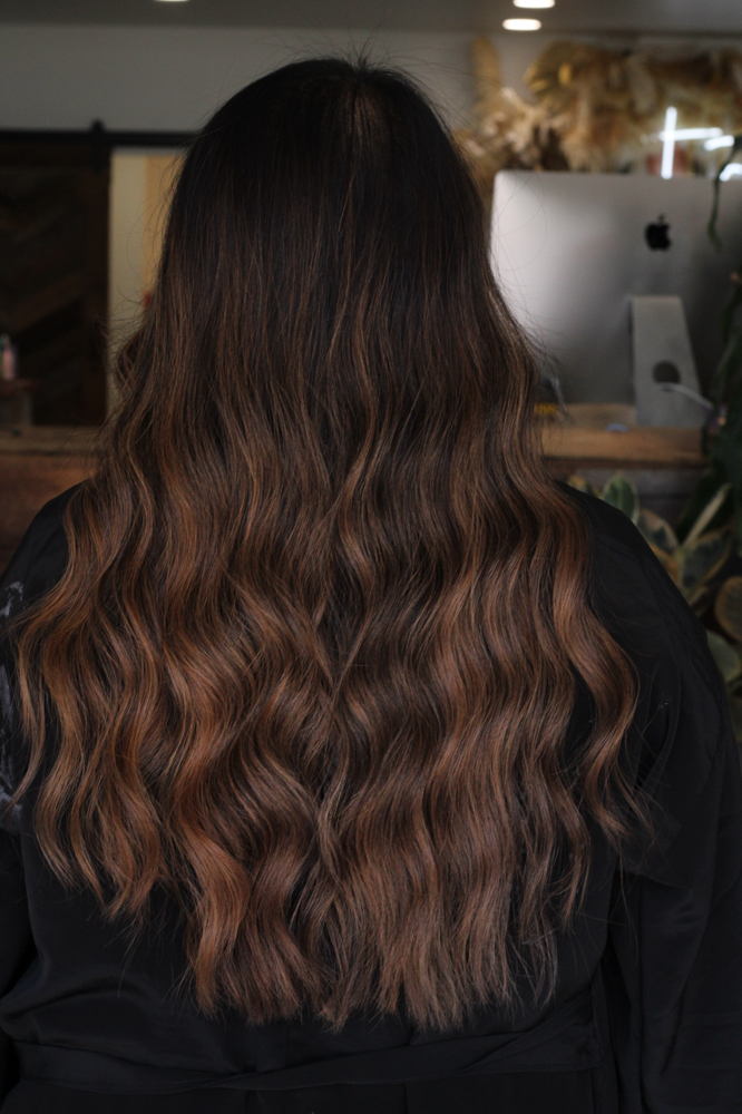 Base Color + Highlight + Haircut