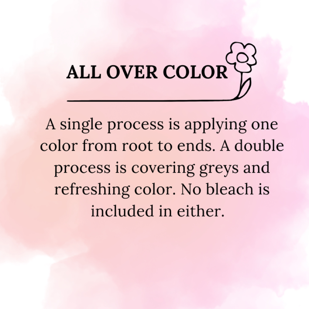 ALL OVER COLOR at Hair Did by Court in Spring, TX