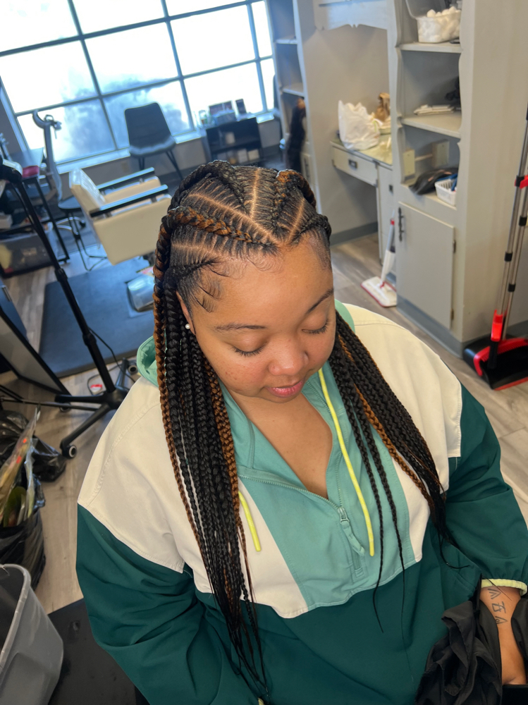 Large Tribal Braids (mid Back)