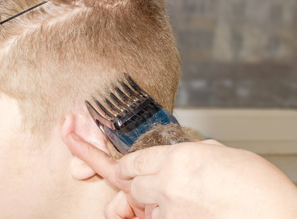Clipper Cut
