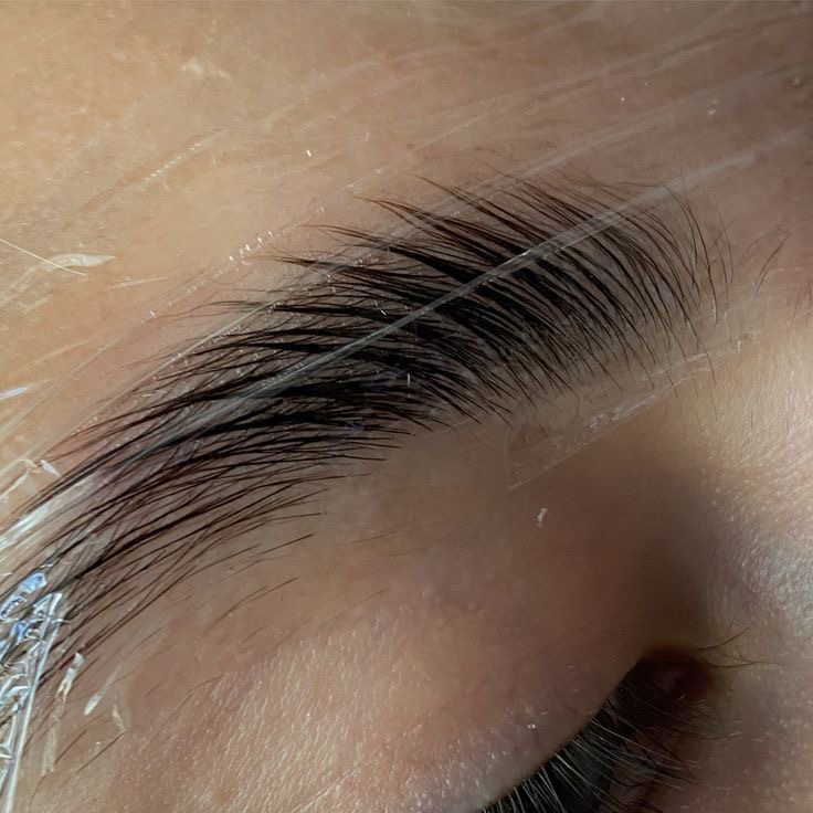 Brow Lami & Sculpt
