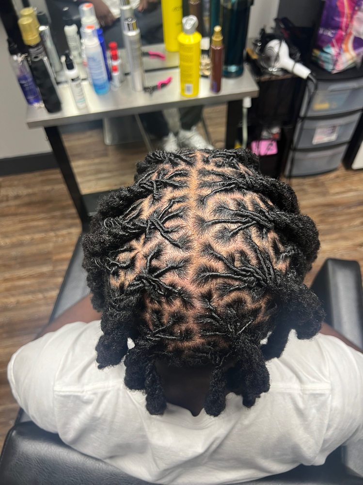 Loc Styling at Shear Essence Salon in Knoxville, TN