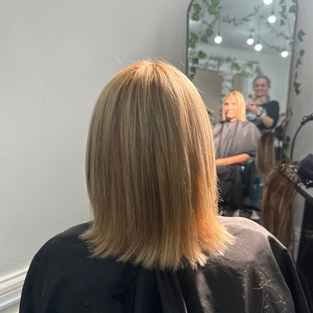 Shear Cut at Avalon salon & spa in Chillicothe, OH