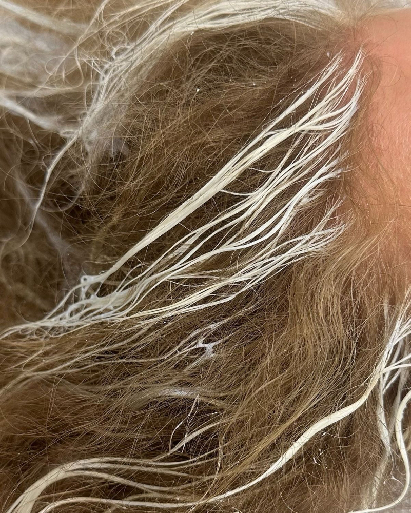 classic partial highlight at hairxmoe in Sarasota, FL
