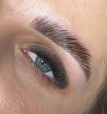 Brow Shape, Stain and Lamination