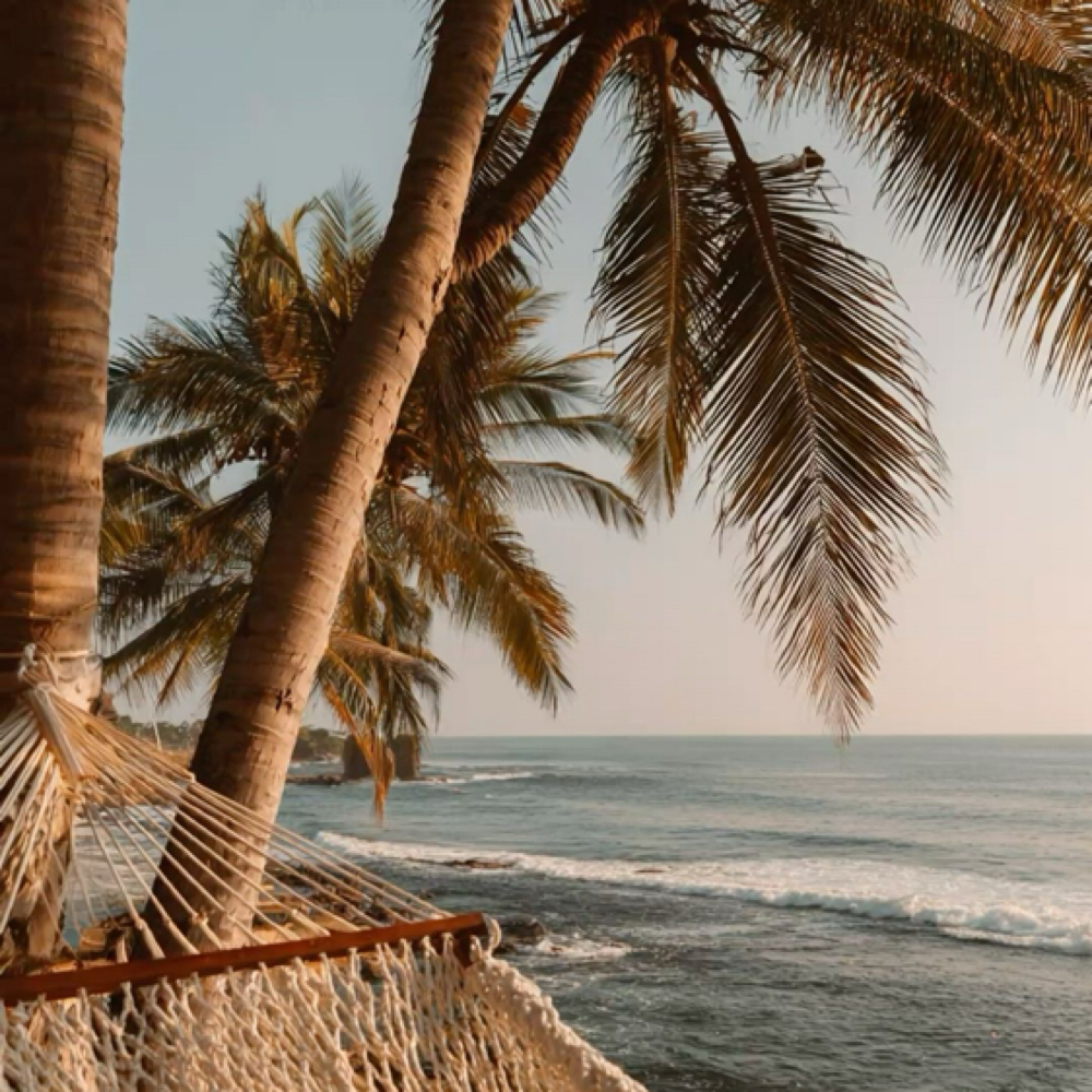 Toner/Gloss & Haircut at Mane Evolution Hair in South Pasadena, FL