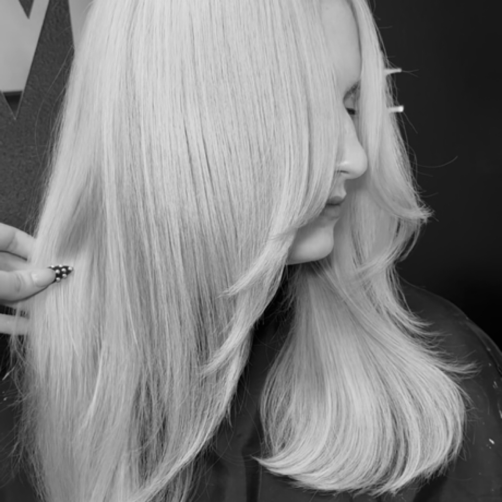 Platinum / Global lightening at Hair By Morgan K in Tampa, FL