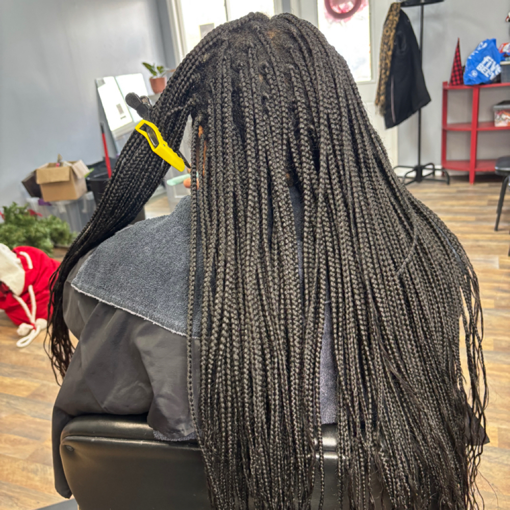 SM/MD Braids Takedown at Beauty By Q🌿 in Kent, OH