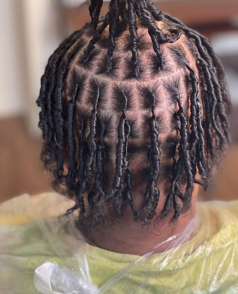 Starter Locs-Adult