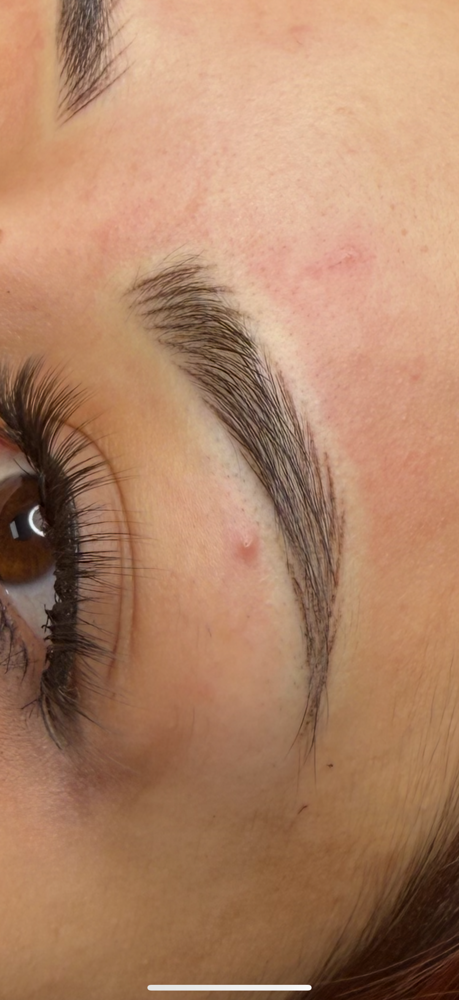 Nano Brows at Ink & Ivy Spa in El Paso, TX