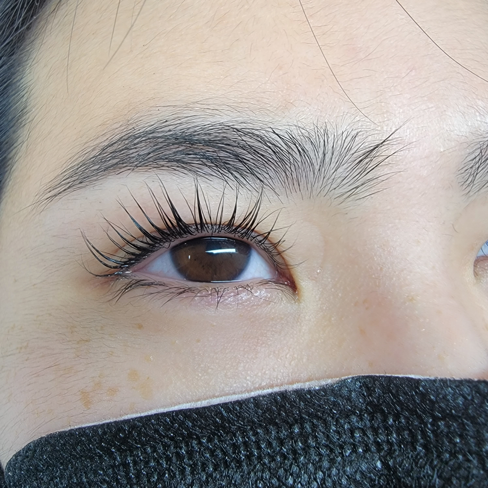 Elleebana lash lift at Live Lash Love in Rockville, MD