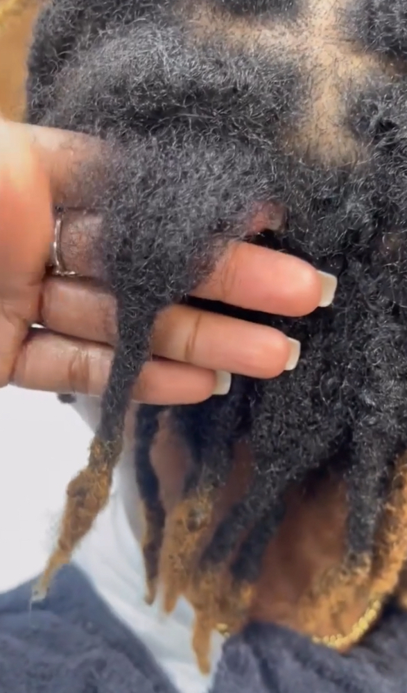 Crochet Maintence (Root Only)