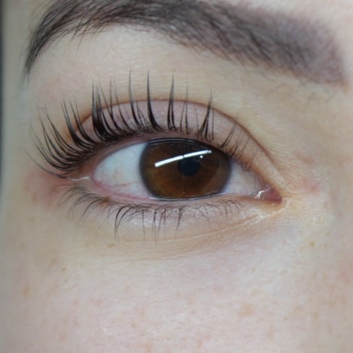 Korean Lash Lift & Tint at Soul Line Beauty & Ink in Bayport, NY