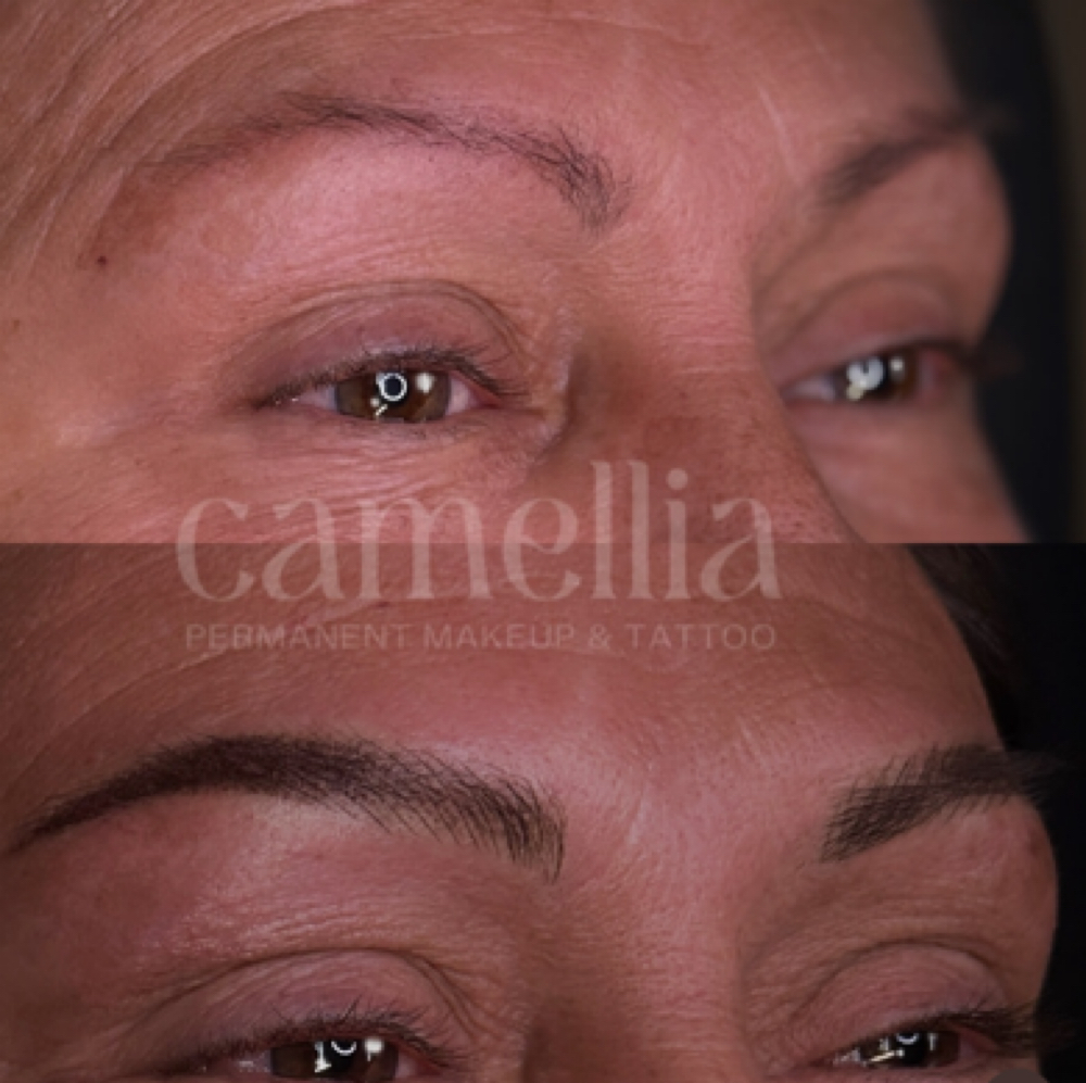 Permanent Brow 8 Week Perfecting at Key West- Camellia Permanent  Makeup & Tattoo in Key West, FL