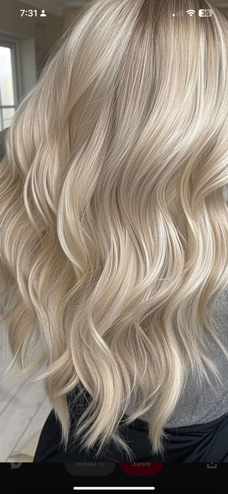 Full Highlight- No Base Color
